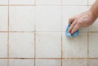 Cara Menghilangkan Jamur Di Kamar Mandi Cara Menghilangkan Jamur Di Kamar Mandi