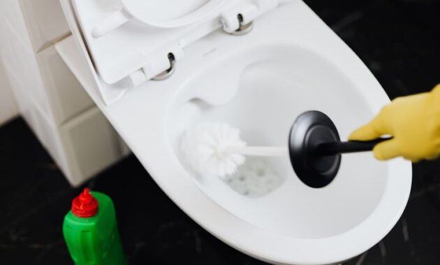 rutin sedot wc berkala