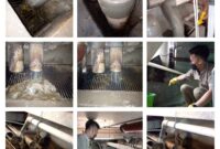 Sedot WC Gading Surabaya Harga Borongan Termurah