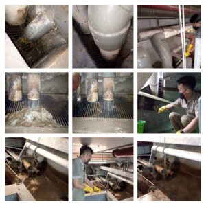 Sedot WC Gading Surabaya Harga Borongan Termurah