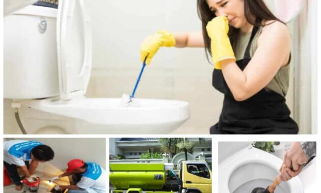 sedot wc bondowoso